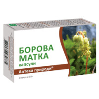 Боровая матка